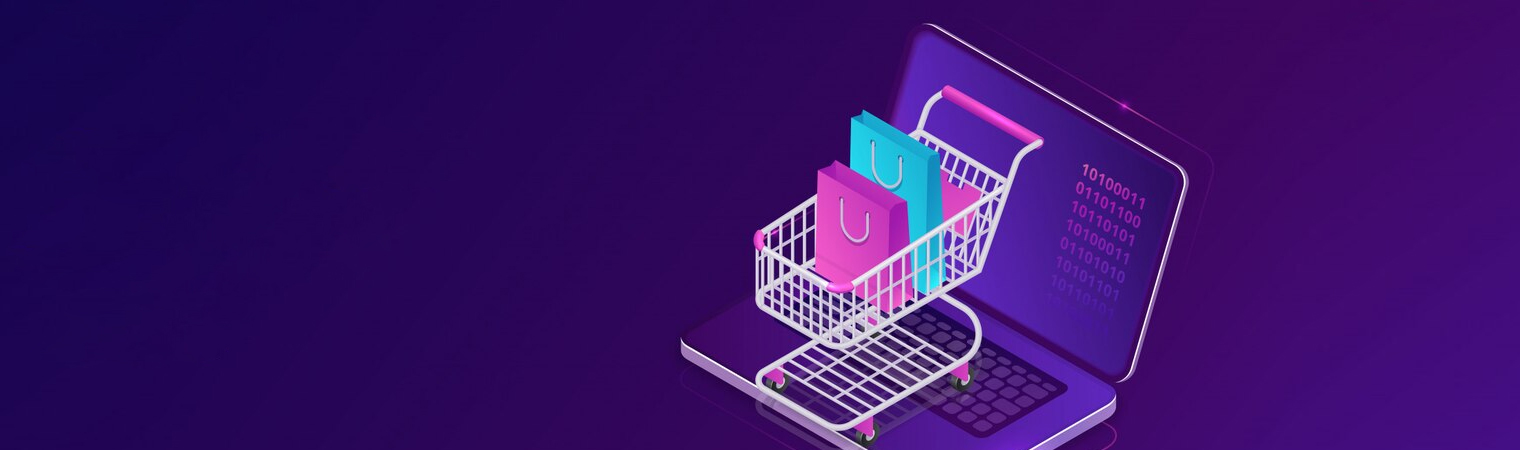 Building An eCommerce Platform Through Shopify Link With ERP: an Introduction