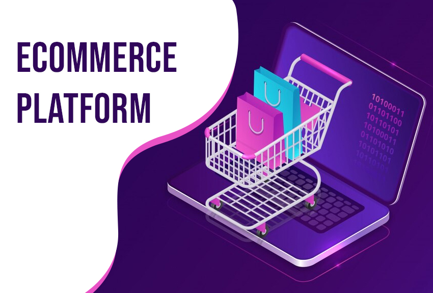 Building An eCommerce Platform Through Shopify Link With ERP: an Introduction